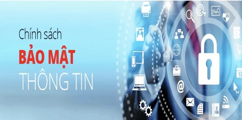 Mục đích và phạm vi thu thập thông tin Yeu88