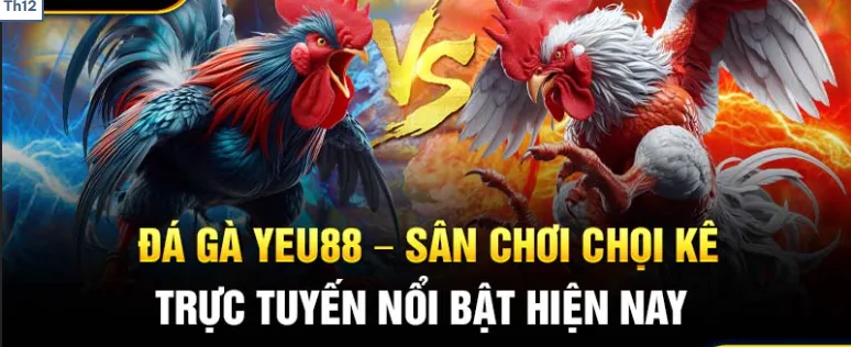 Giới thiệu về đá gà trực tuyến Yeu88