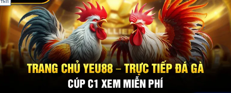 Khuyến mãi và ưu đãi khi chơi đá gà Yeu88