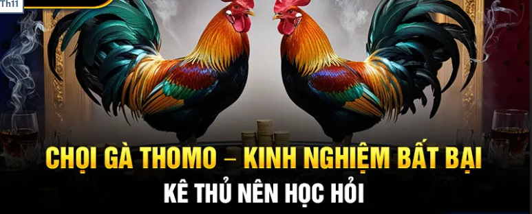 Ưu điểm khi chơi đá gà trực tuyến Yeu88