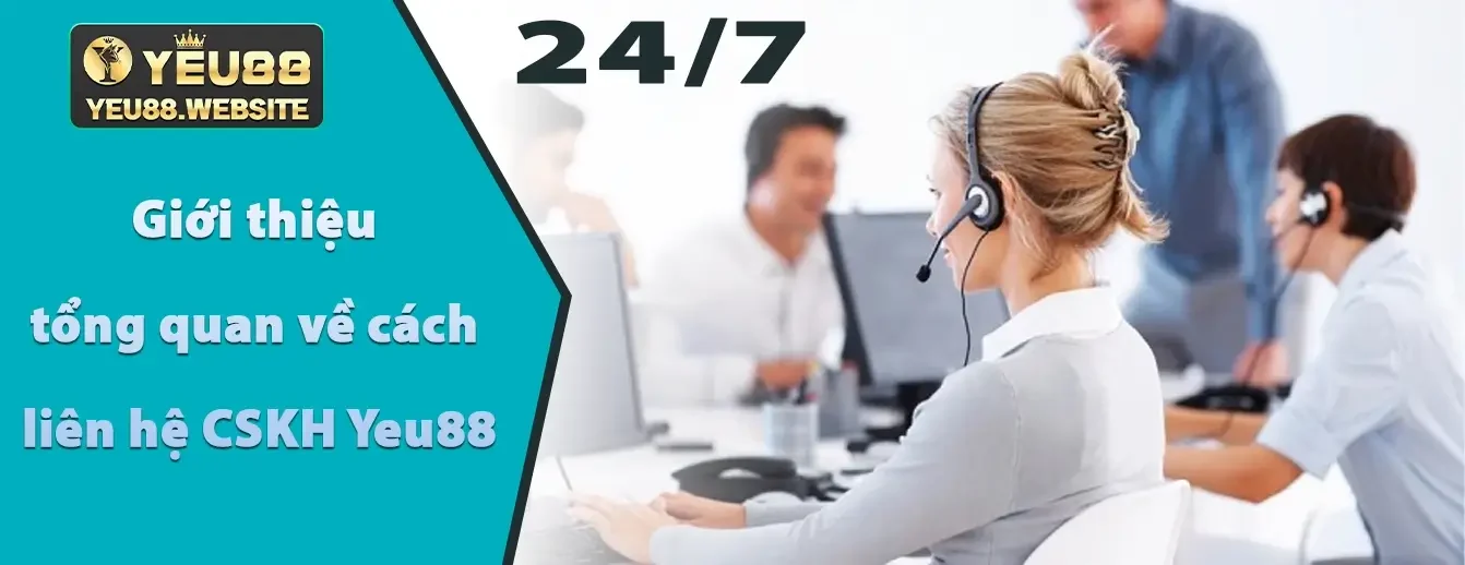 Dịch vụ khách hàng 24/7 - Hỗ trợ tận tâm